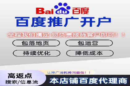 竞价代运营成功案例解析